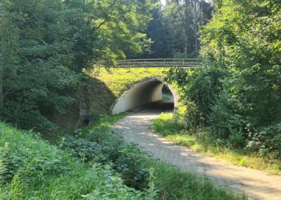 Ein gepflasterter Weg schlängelt sich unter einer grasbewachsenen Böschung hindurch, umgeben von dichten Bäumen.
