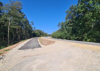 Die neue Straße verläuft parallel zum alten Weg durch den Wald bei klarem Himmel.
